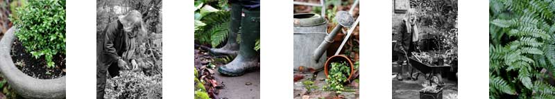Click for more info on garden design